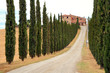fattoria fattoria
