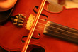violin