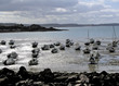 boats in cancale france in brittany boats in cancale france in brittany