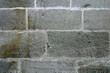 the wall #1
