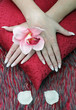 nature morte with woman's hands and flowers nature morte with woman's hands and flowers