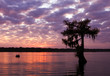 lake martin sunset lake martin sunset