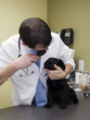 first check-up