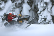 snowmobile roost