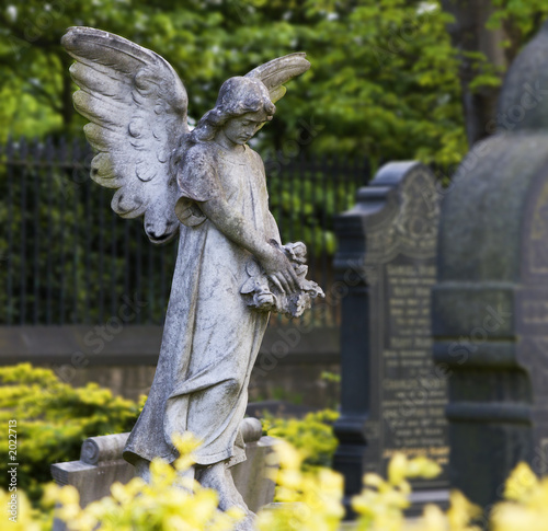 Photo: cemetery angel cemetery angel