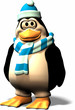 male penguine