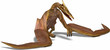 Illustration: quetzalcoatlus quetzalcoatlus