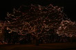 decorated tree