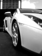 sportwagen sports car sportwagen sports car