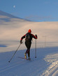 skier with moon in background