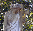 sad angel.