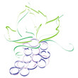 grapes grapes