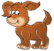 puppy