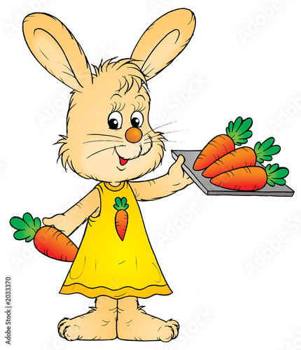 Illustration: rabbit rabbit