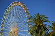 grande roue