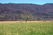 great smoky mountains national park great smoky mountains national park