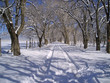 rural winter road rural winter road