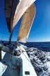 sailing 5
