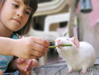 01 a girl with her pet