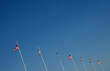 american flag