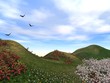 spring with flowers