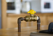 gas shut-off valve