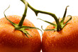tomate am stil tomate am stil