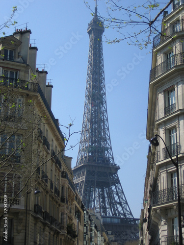 Photo: eiffel tower in spring eiffel tower in spring
