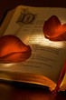 valentine's book