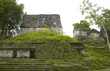 Photo: overgrown mayan ruins overgrown mayan ruins