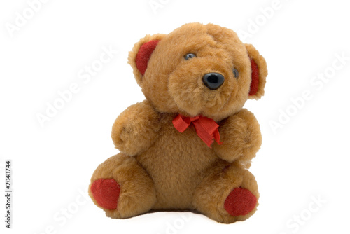 Photo: teddy bear teddy bear