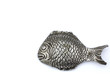 silver fish