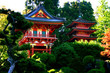 japanese tea garden, san francisco