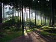 Photo: beskid niski beskid niski