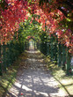 garden path
