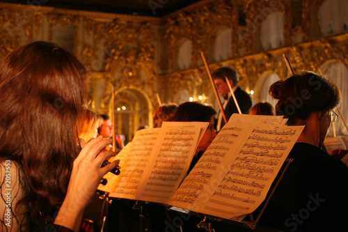 performance of an orchestra in a palace