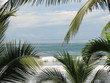 beach with palm trees