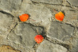 pavement
