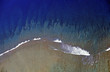 mer 006