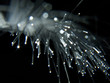 fibre optique#3