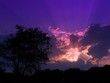 glorious sunset