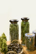 herbs