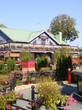 palanga palanga