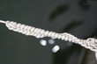 knoten