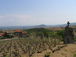 beaujolais