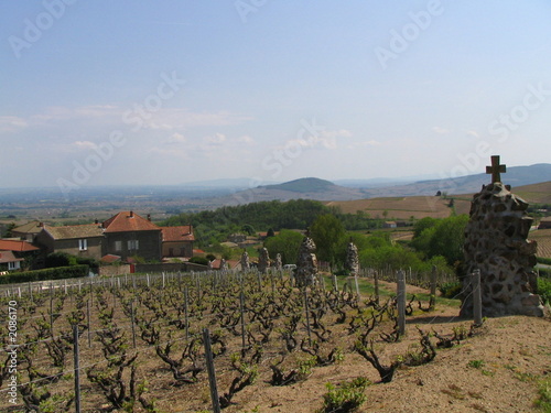 beaujolais