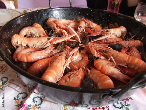 crevettes et langoustines crevettes et langoustines