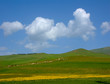 armenian fields