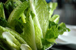 romaine lettuce