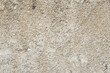 Grain limestone texture